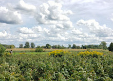 Mont-Saint-Grégoire