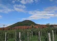 Mont-Saint-Grégoire