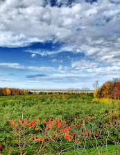 Mont-Saint-Grégoire