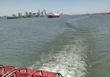 Paddlewheeler Creole Queen