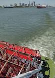 Paddlewheeler Creole Queen