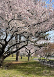 Branch Brook Park