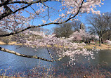 Branch Brook Park