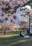 Branch Brook Park