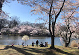 Branch Brook Park