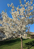 Branch Brook Park