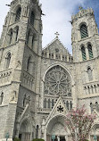 Cathedral Basilica of the Sacred Heart