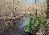 Southards Pond Park