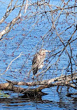 Southards Pond Park