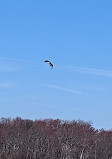 Southards Pond Park