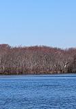 Southards Pond Park