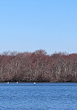 Southards Pond Park