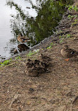 Southards Pond Park