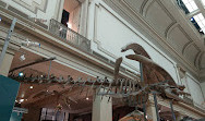 Tienda del Museo Nacional Smithsonian de Historia Natural