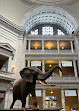 Smithsonian National Museum of Natural History Shop