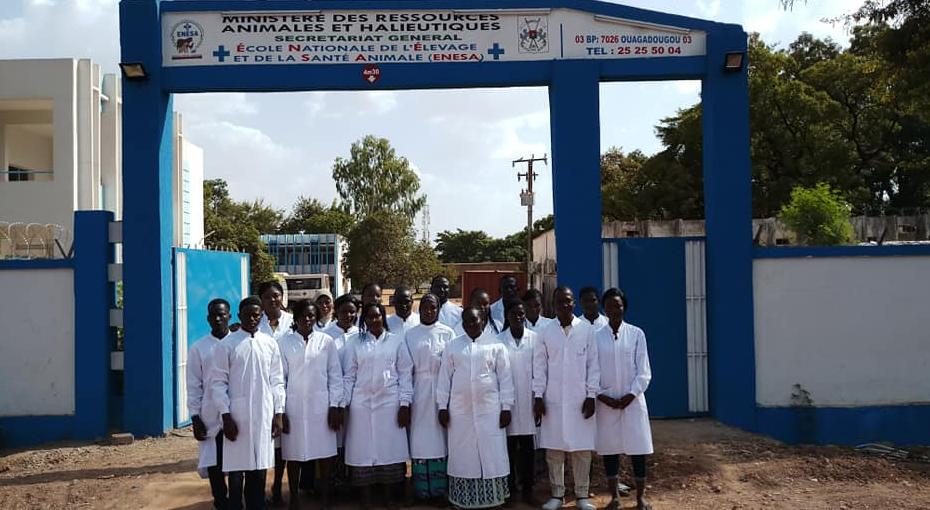 Enesa - National School Of L'elevage Et De La Santé Animale