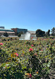 Exposition Park Rose Garden