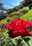 Exposition Park Rose Garden