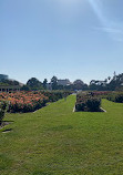 Exposition Park Rose Garden