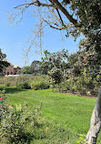 Exposition Park Rose Garden