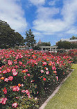 Exposition Park Rose Garden