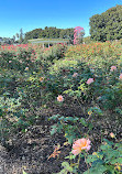 Exposition Park Rose Garden