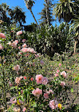 Exposition Park Rose Garden