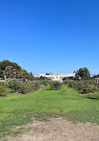 Exposition Park Rose Garden