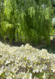 Albert-Kahn Museum and Garden