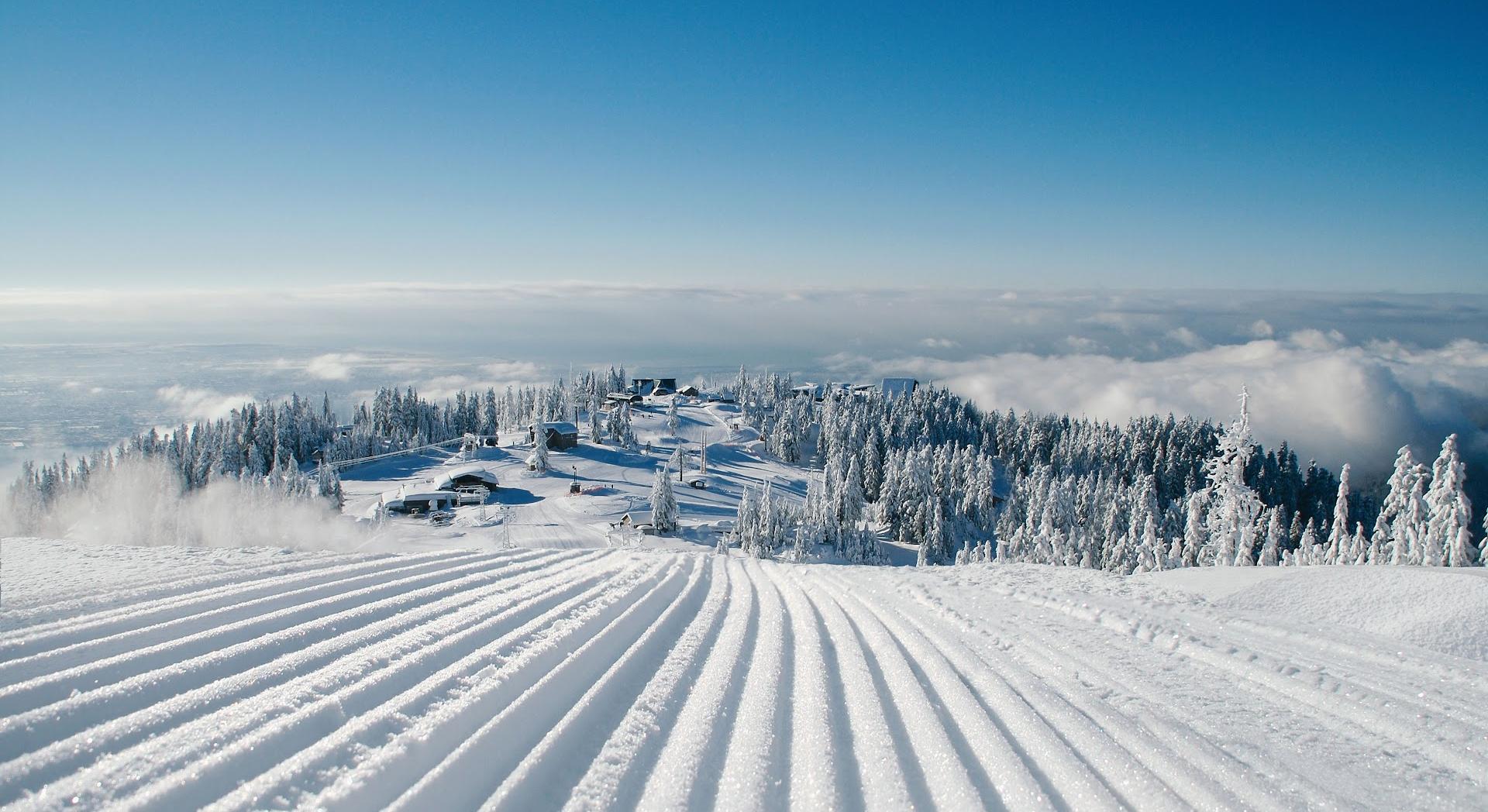 Grouse Mountain