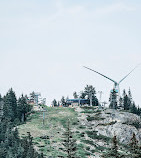 Grouse Mountain