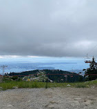 Grouse Mountain