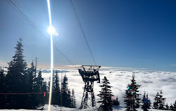 Grouse Mountain