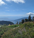 Grouse Mountain