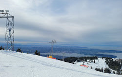 Grouse Mountain