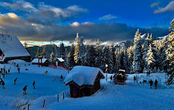 Grouse Mountain