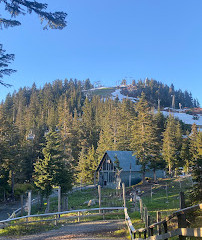 Grouse Mountain