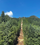 Grouse Mountain