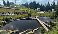 Grouse Mountain