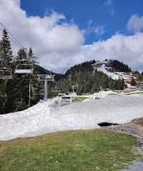 Grouse Mountain