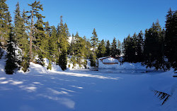 Grouse Mountain