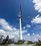 Grouse Mountain