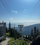 Grouse Mountain