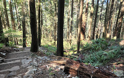 Grouse Mountain