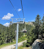 Grouse Mountain