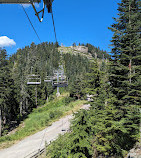 Grouse Mountain