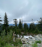 Grouse Mountain