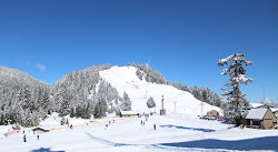 Grouse Mountain