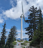 Grouse Mountain