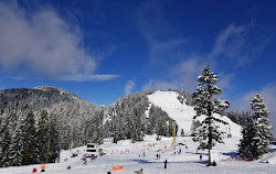 Grouse Mountain